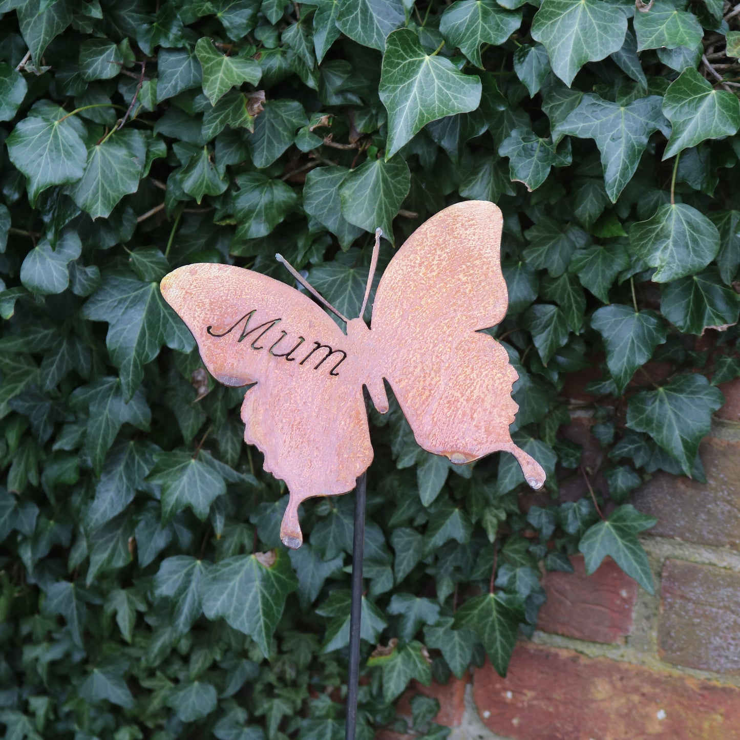 Mum Butterfly On Spike