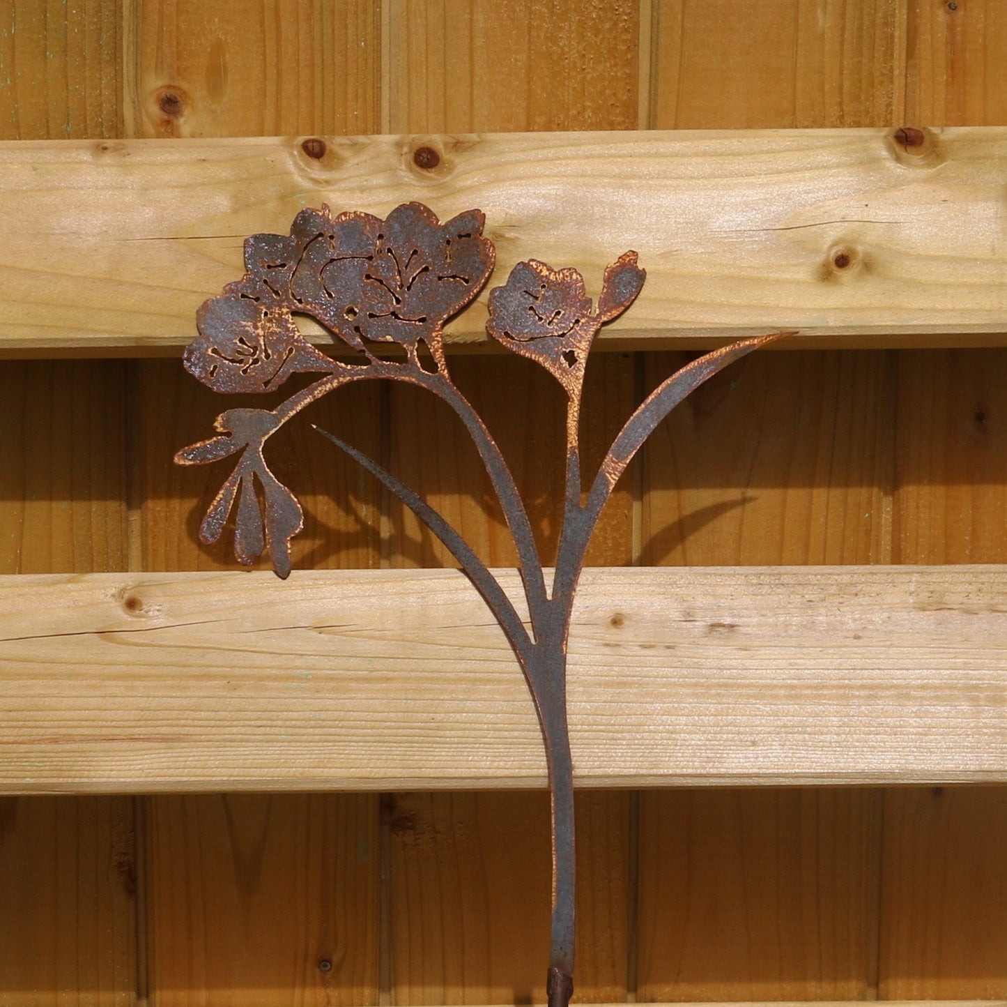 Freesia Plant Pot Decoration