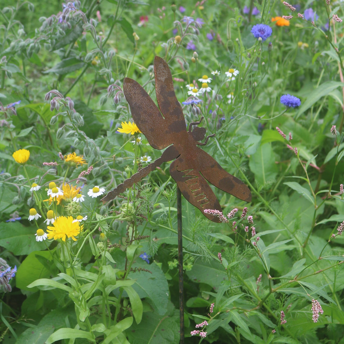 Mum Dragonfly On Spike