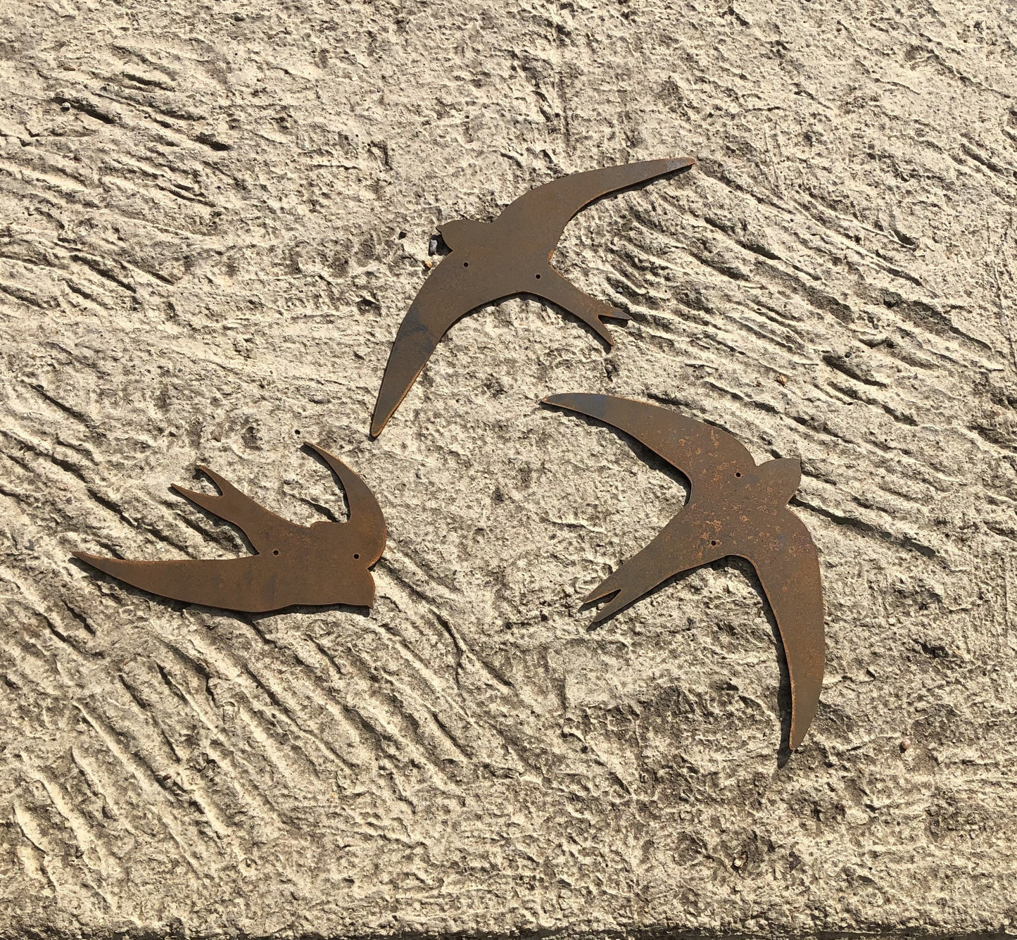 3 Swifts Bird Wall Art