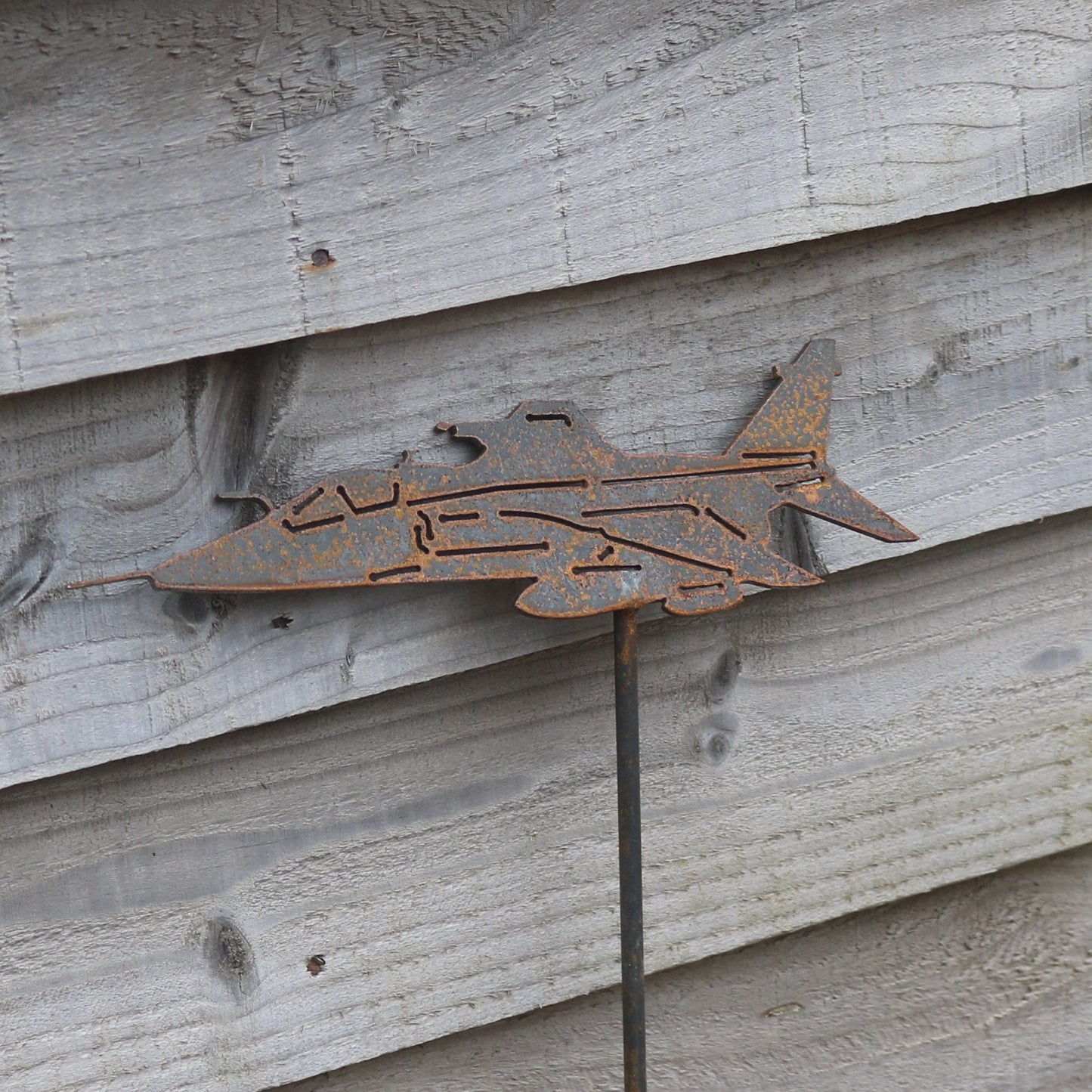 Jaguar Aeroplane On spike