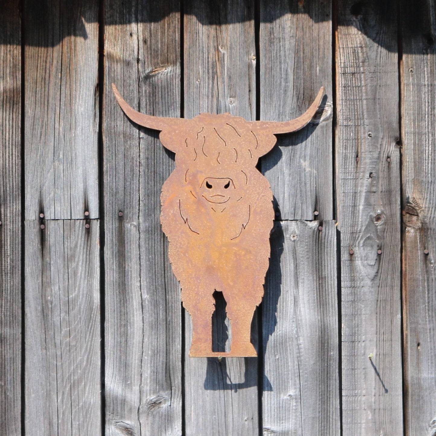 Highland Cow Wall Art