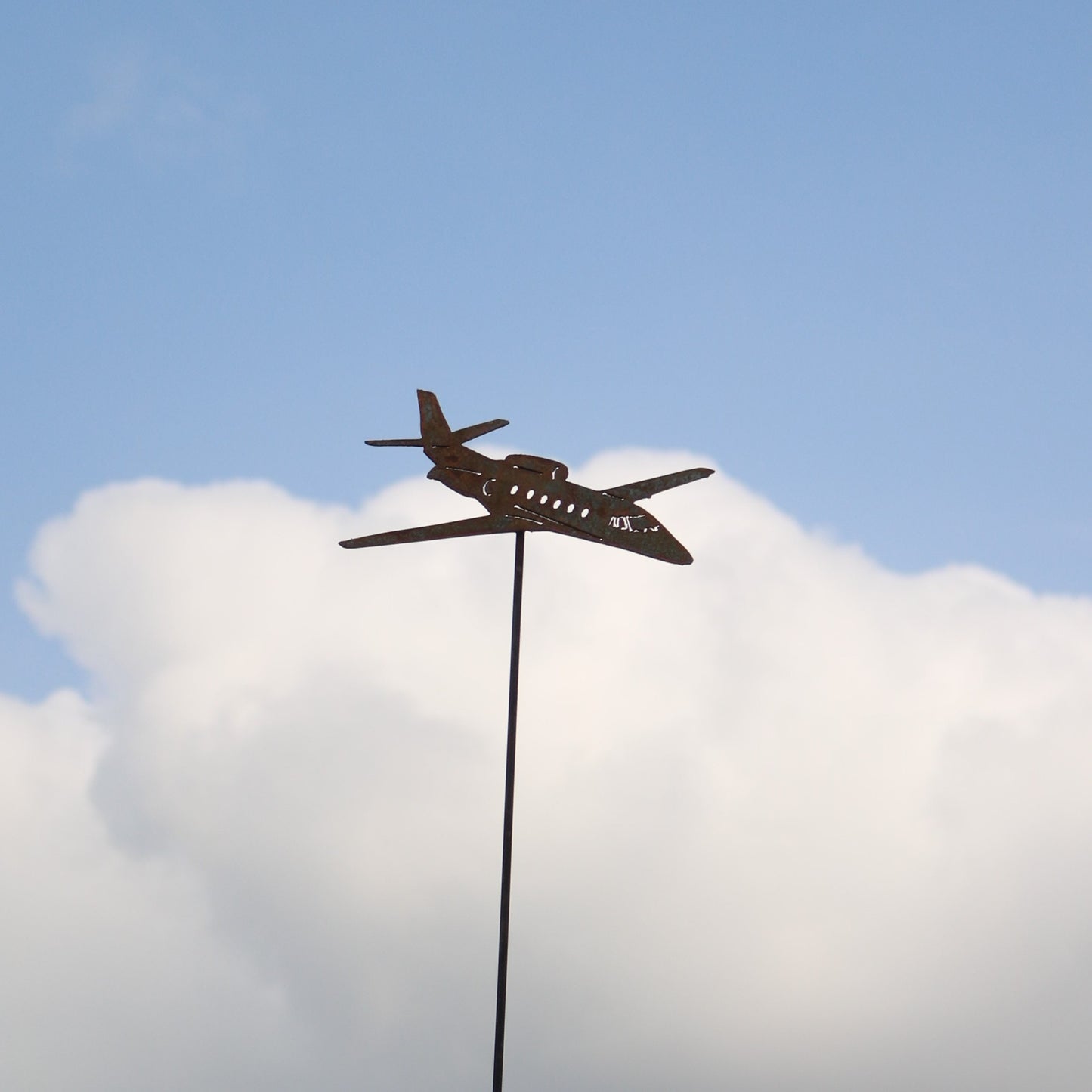 Citation Aeroplane On Spike