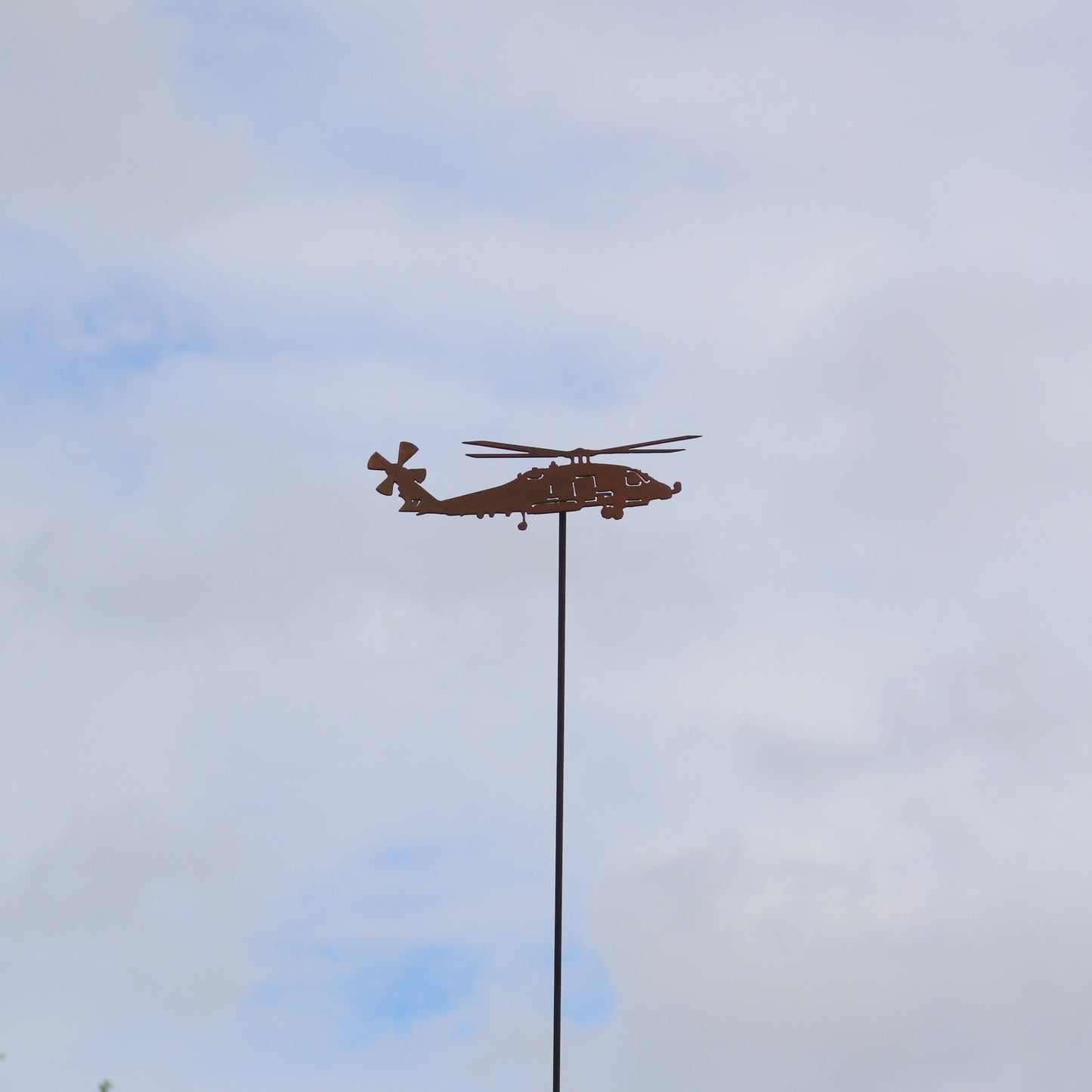 Sea Hawk Helicopter On Spike