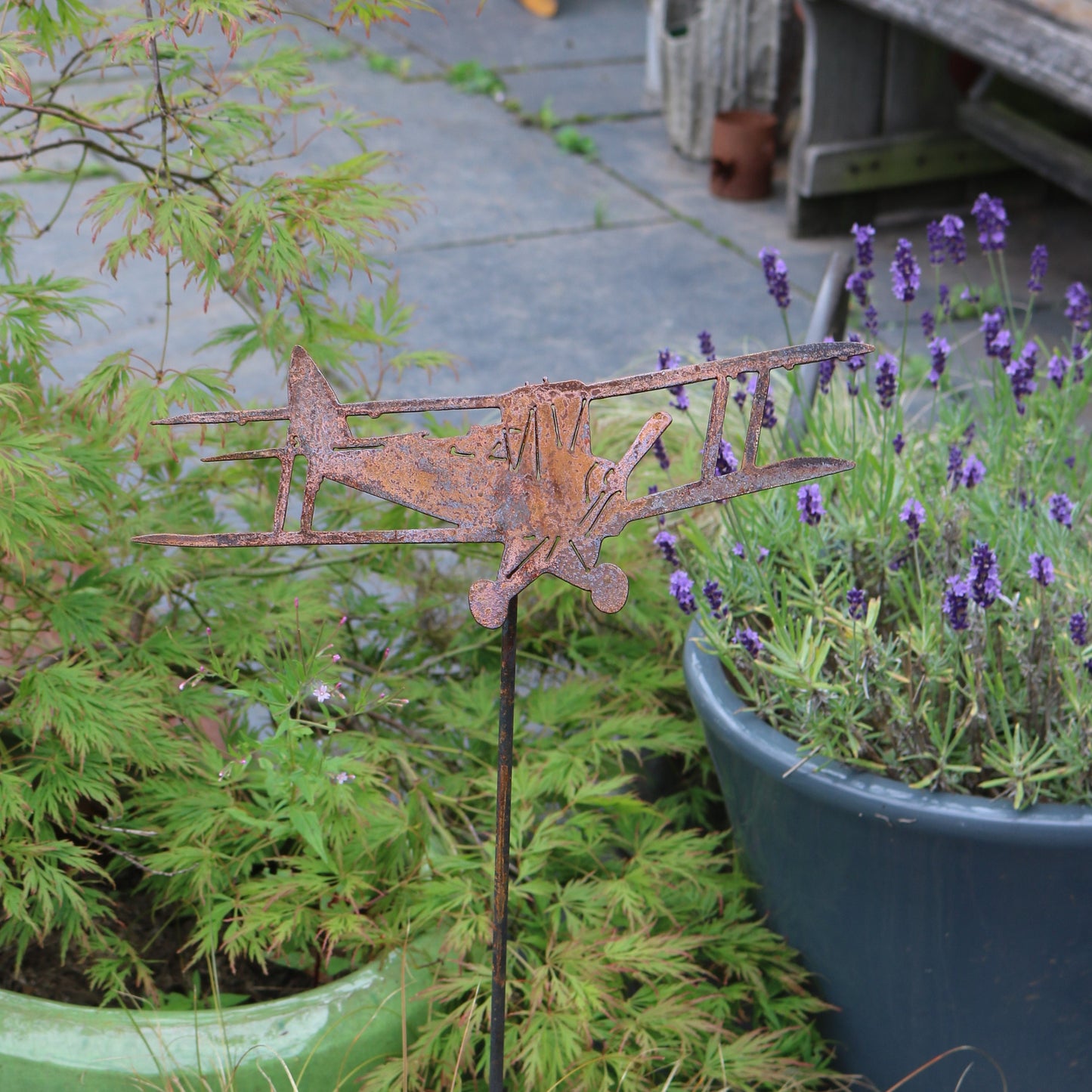 Tiger Moth Aeroplane On Spike
