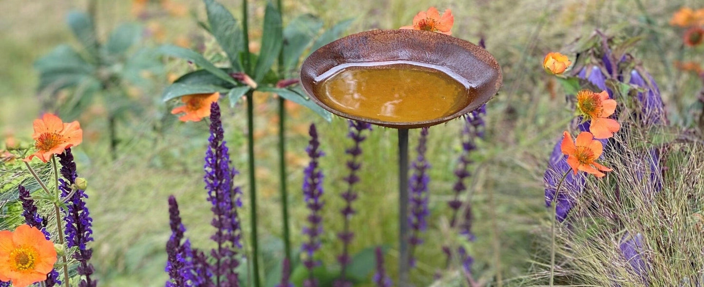 Rain Catcher On Spike