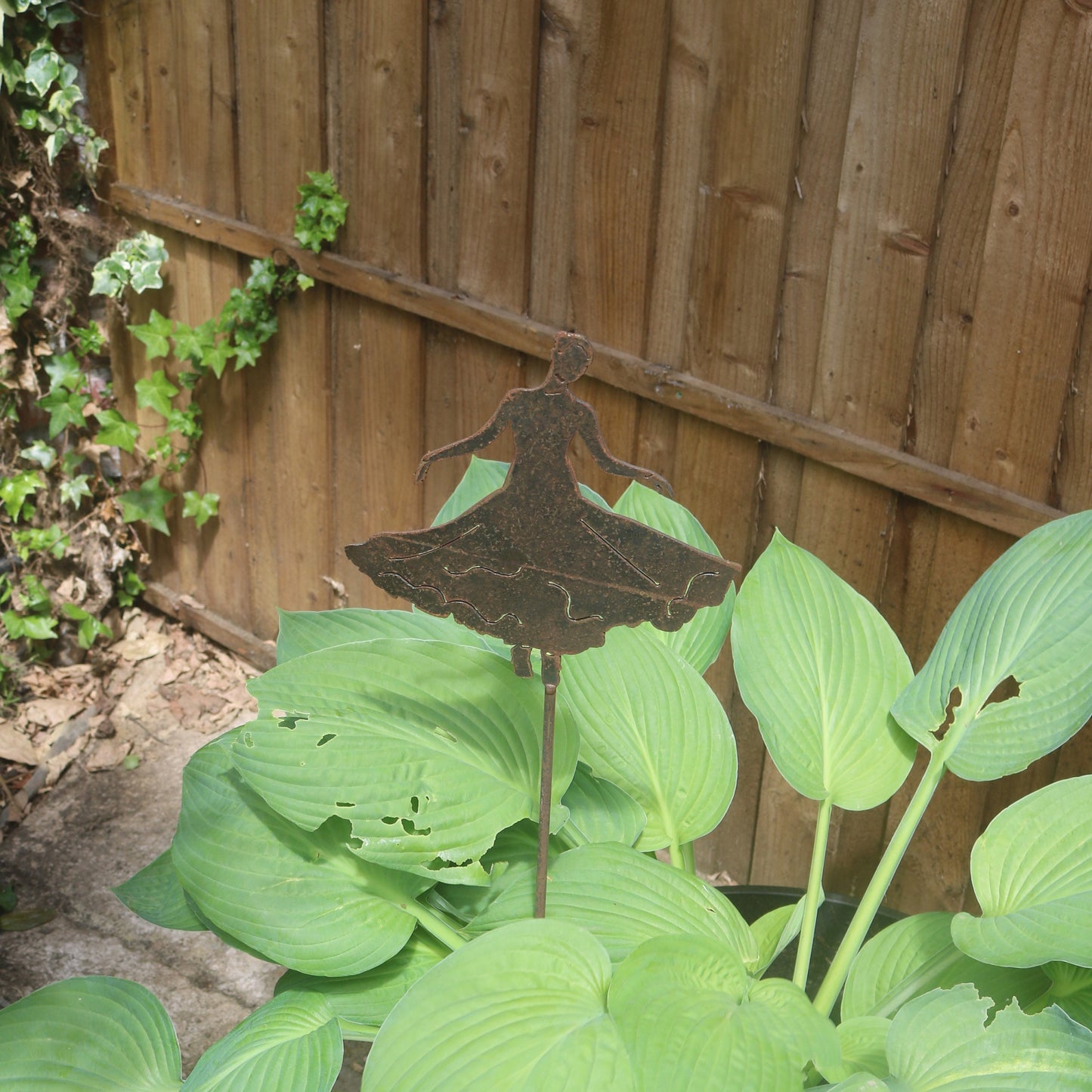 Ballroom Dancer On Spike
