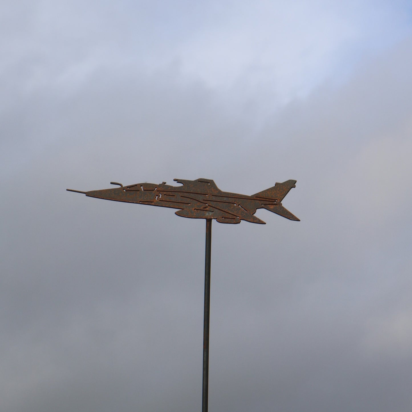 Jaguar Aeroplane On spike