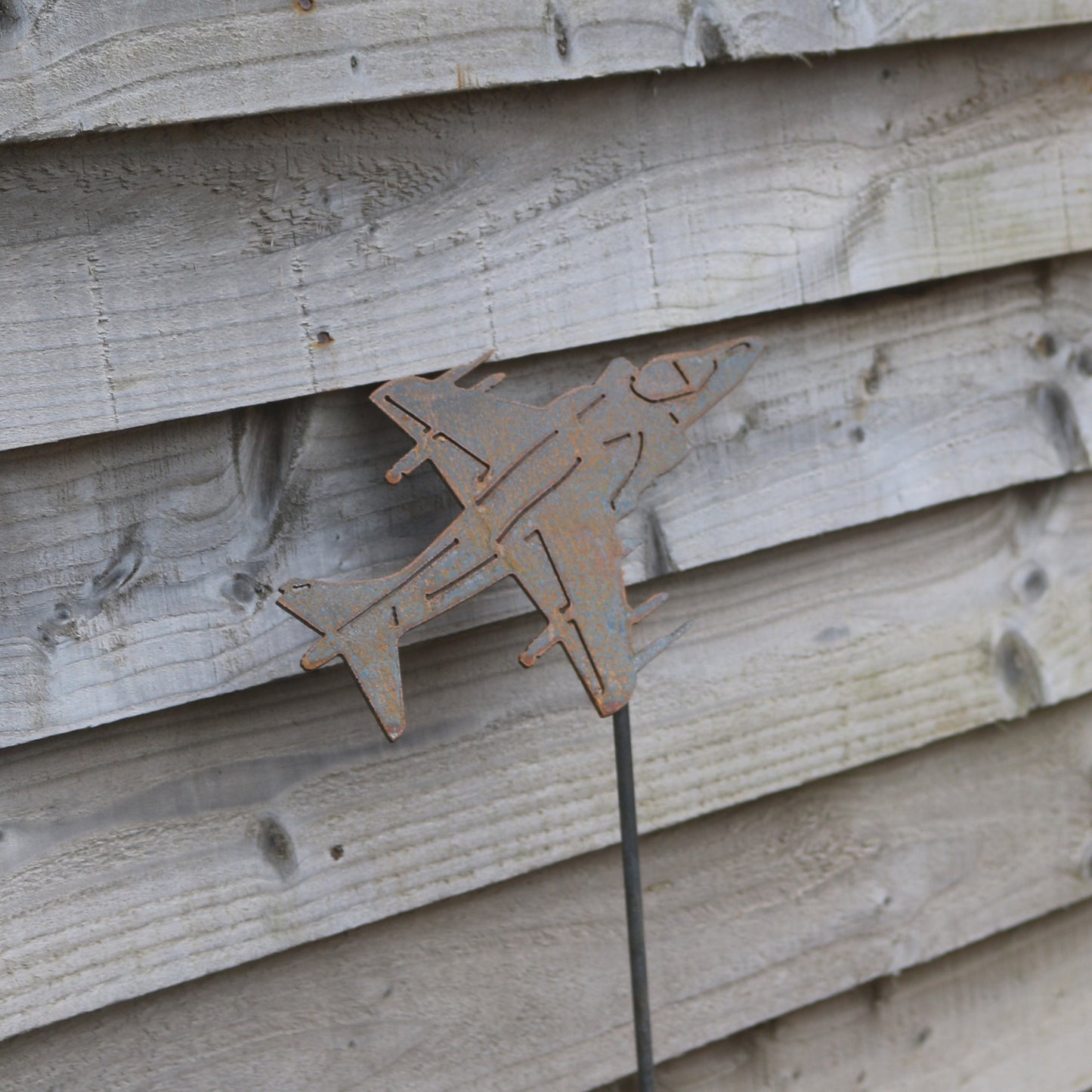 Harrier Aeroplane On Spike