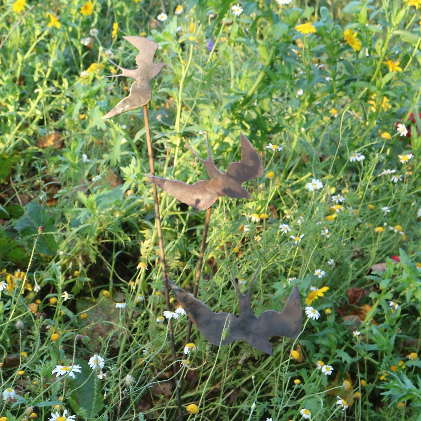 Swallows Bird On Spike