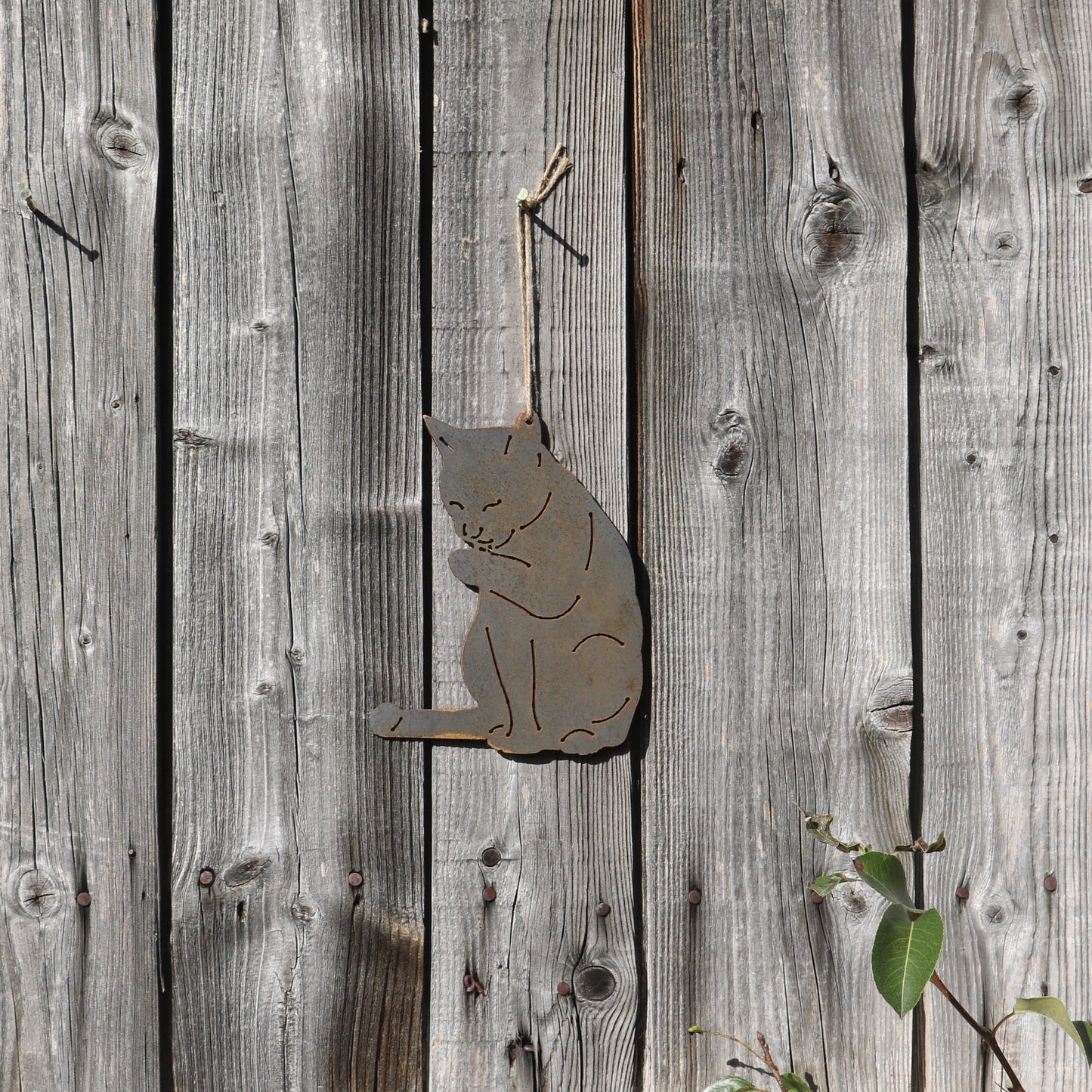 Hanging Cat Licking Paw