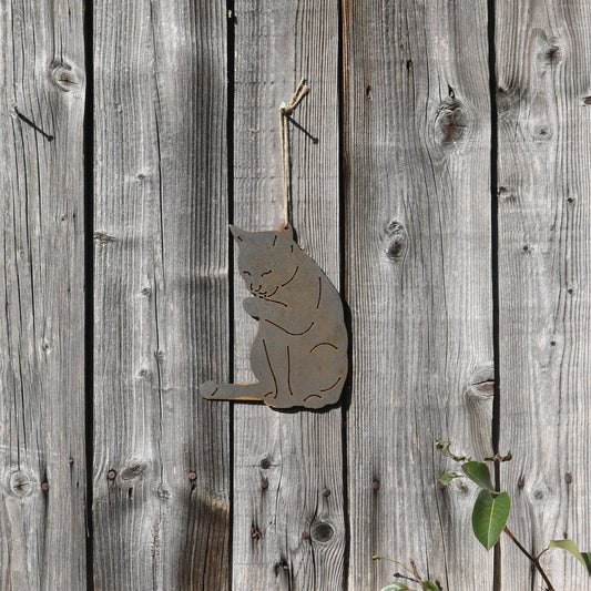 Hanging Cat Licking Paw