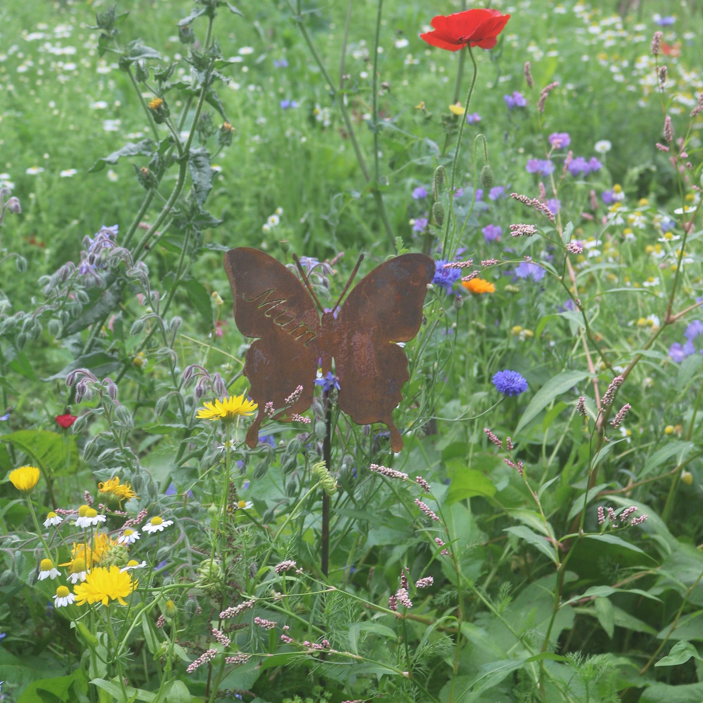 Mum Butterfly On Spike