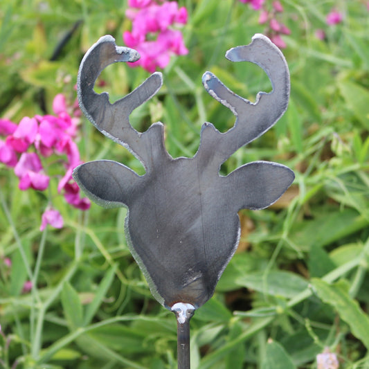 Stag Head On Spike