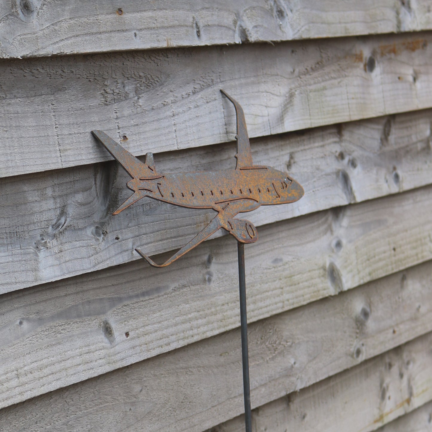 Airbus A320 Aeroplane On Spike