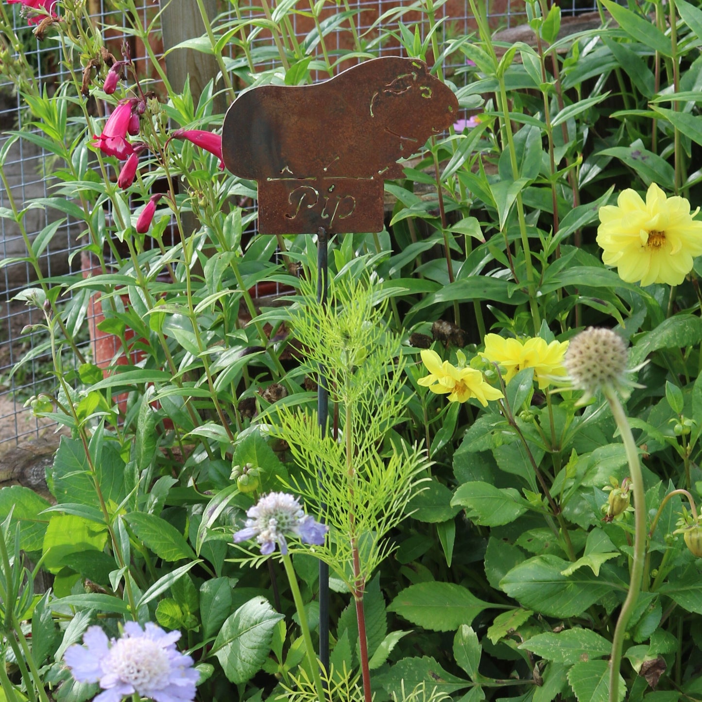 Personalised Guinea Pig On Spike