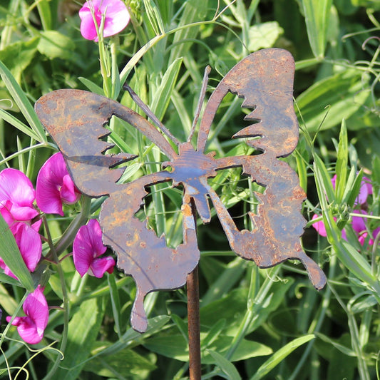 Butterfly On Spike