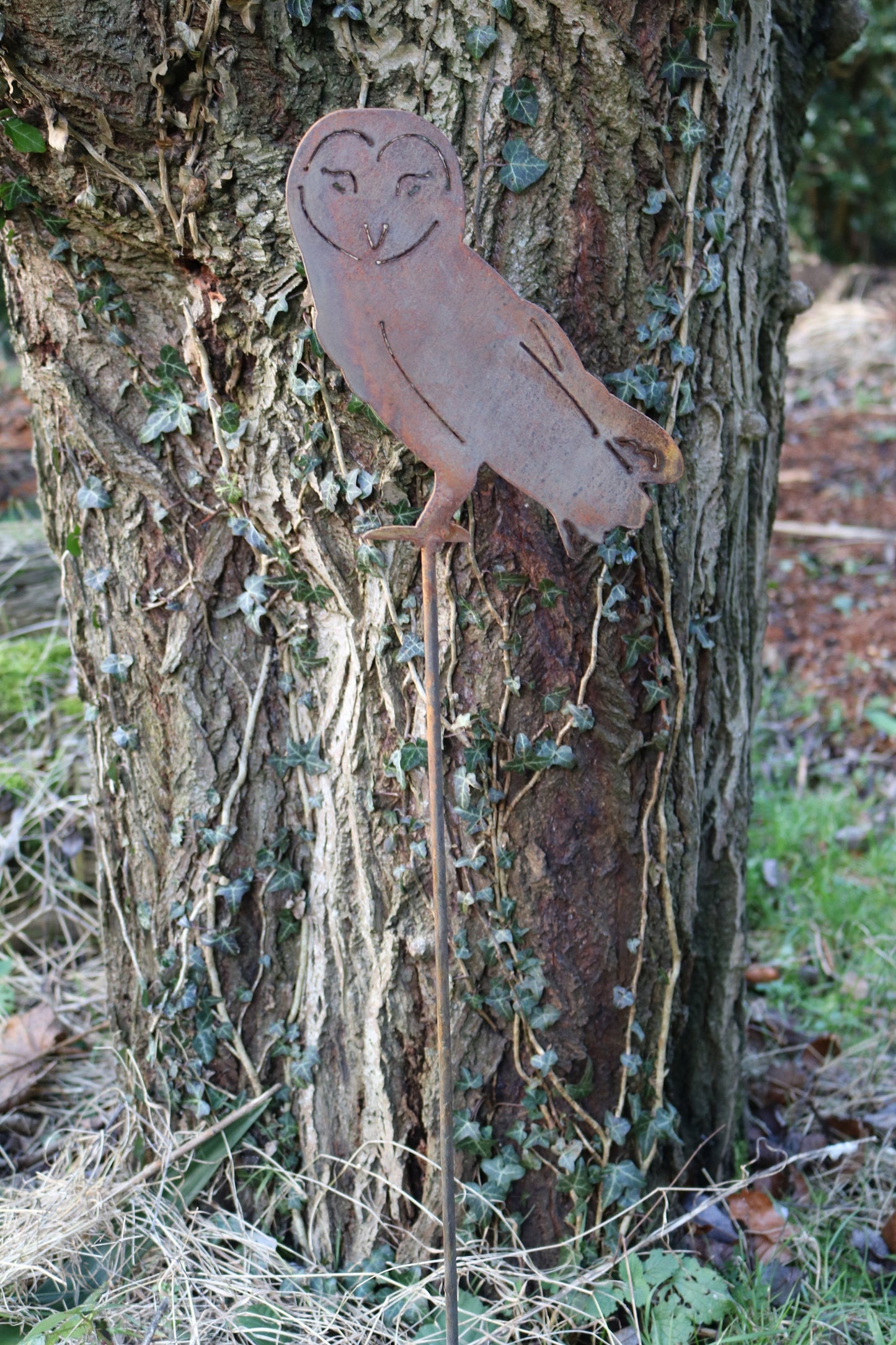 Barn Owl On Spike