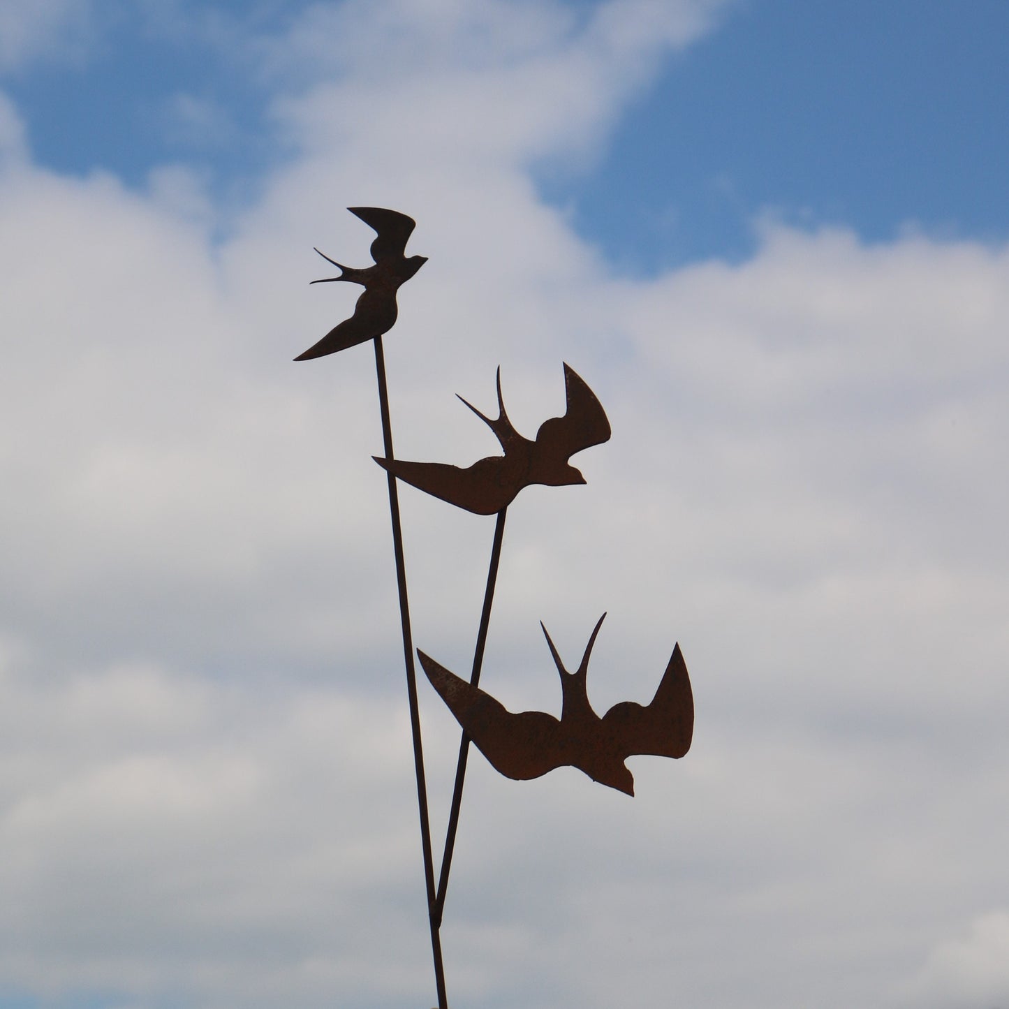 Swallows Bird On Spike