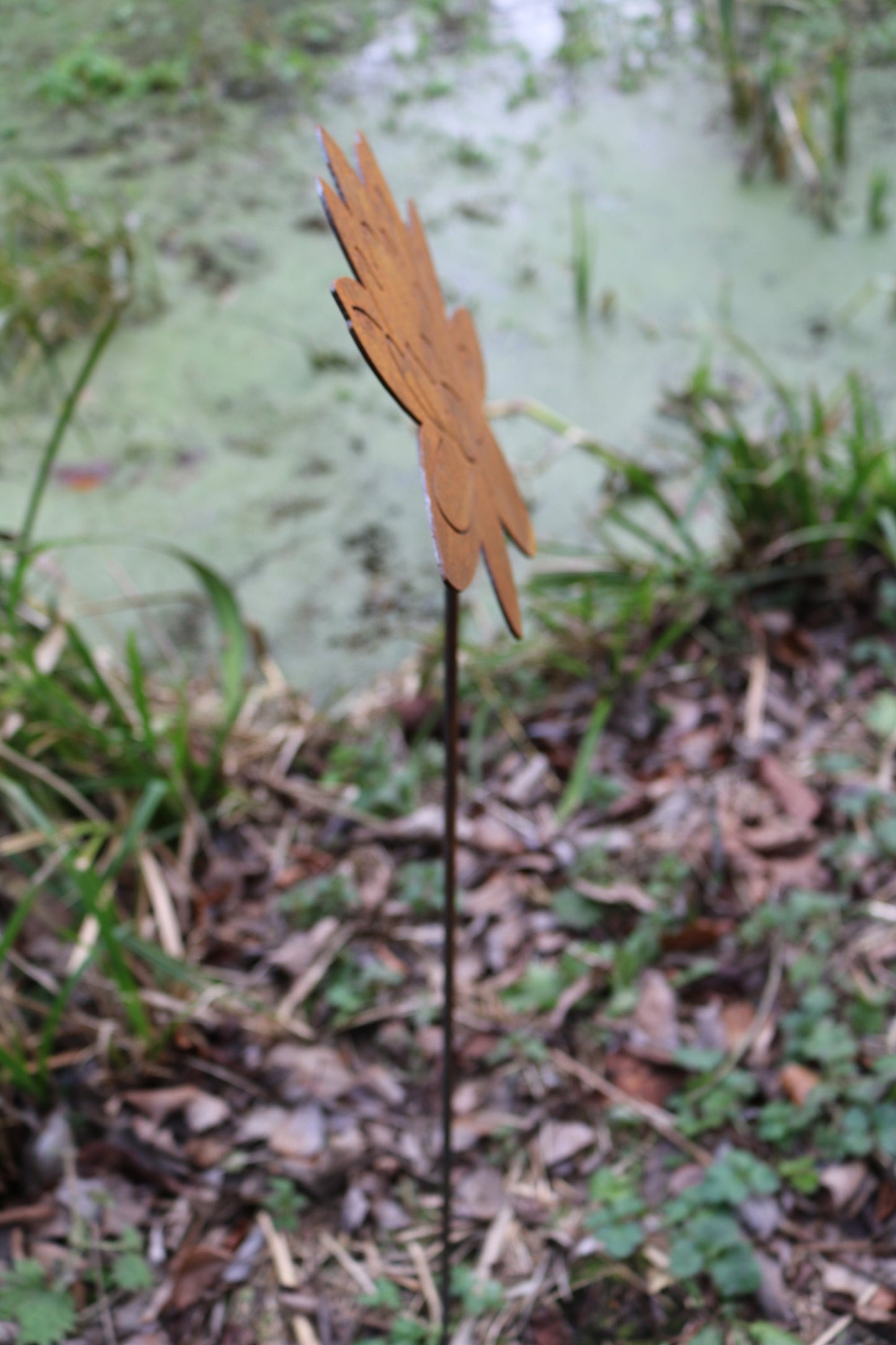 Lotus Flower, Water Lily On Spike