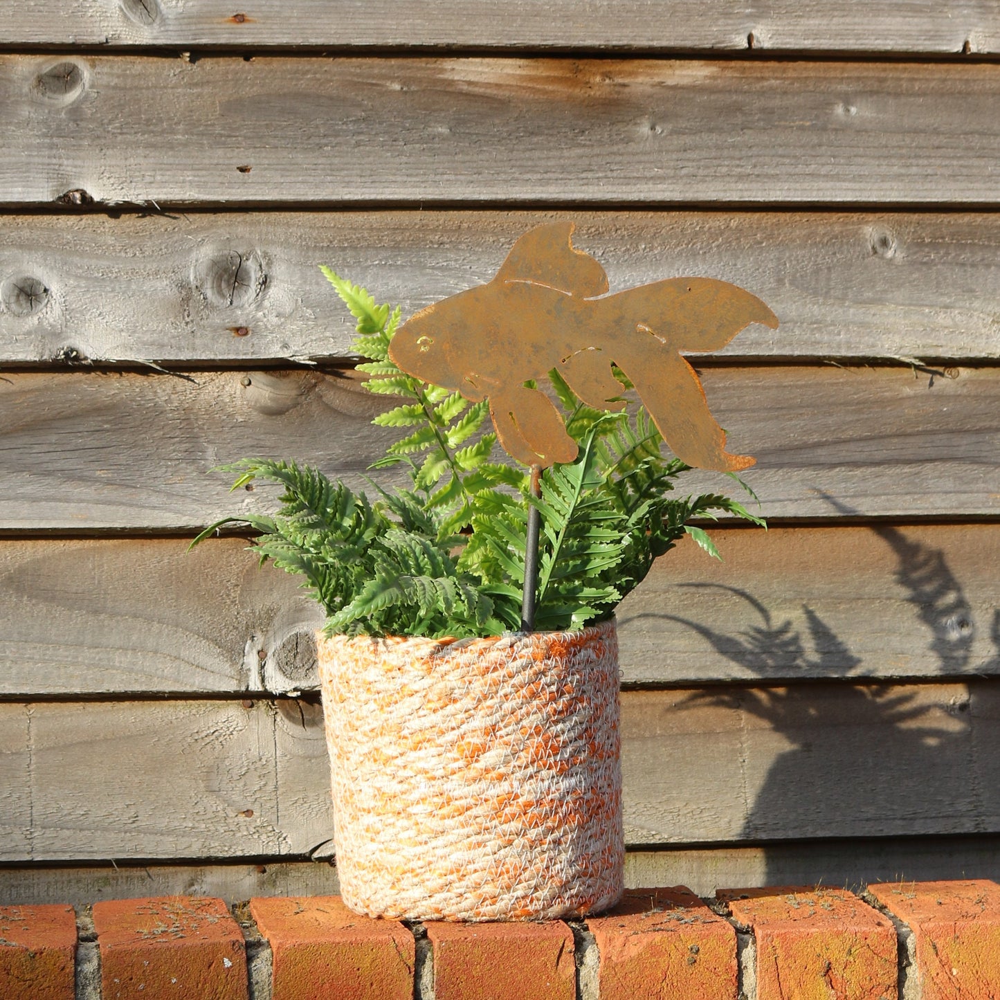 Goldfish Plant Pot Decoration
