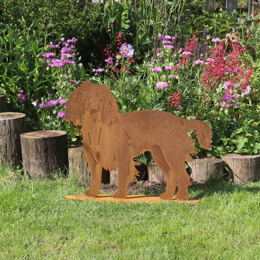 Springer Spaniel Statue 'Alfie'- Life Size