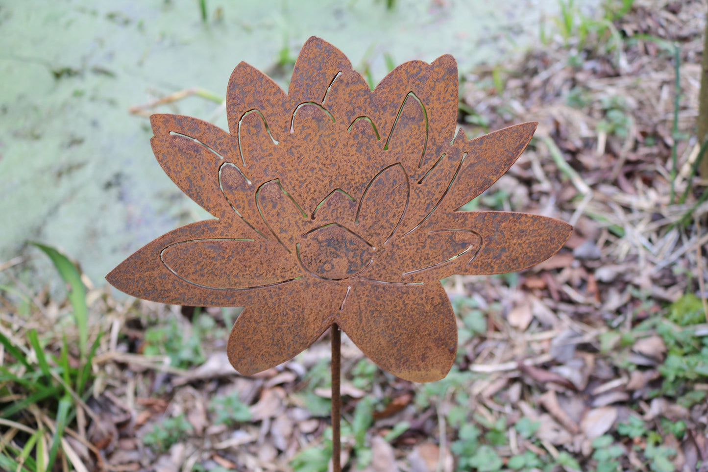 Lotus Flower, Water Lily On Spike