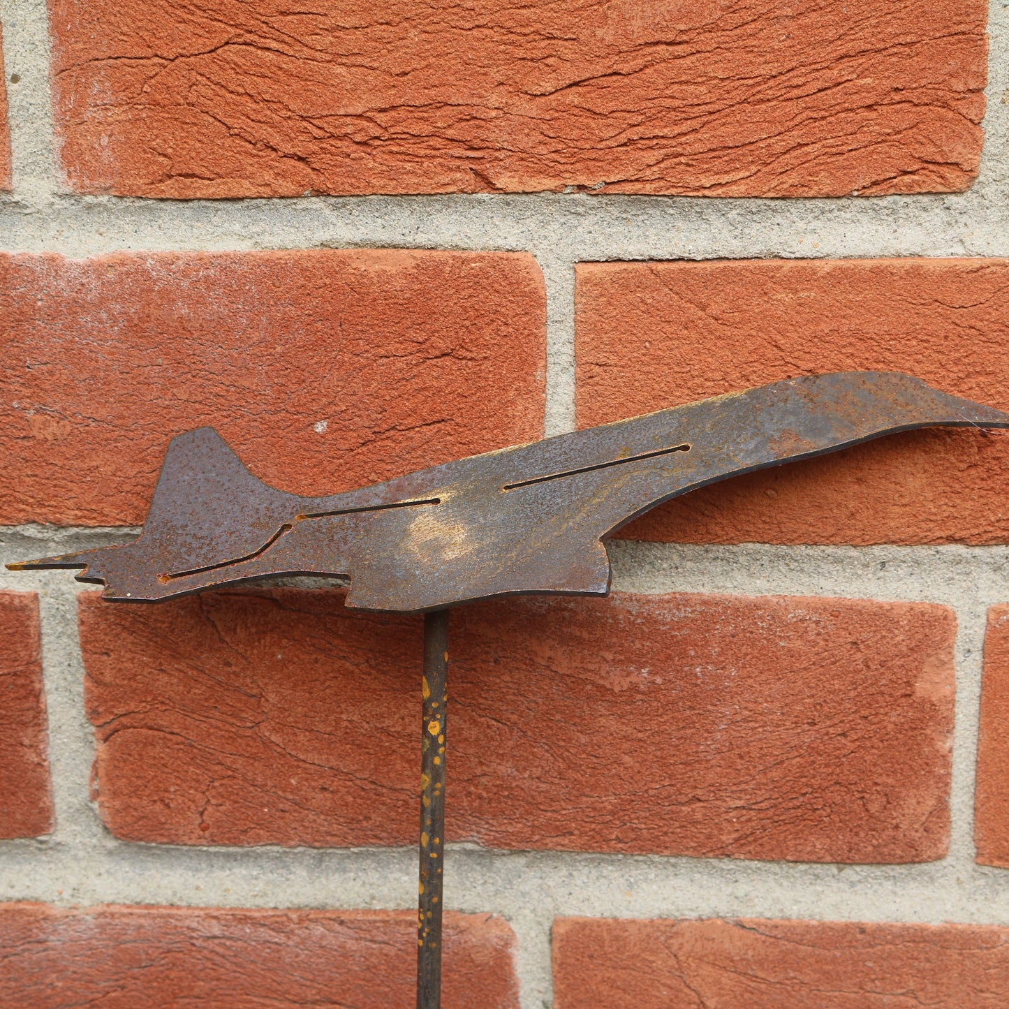 Concorde Aeroplane On Spike