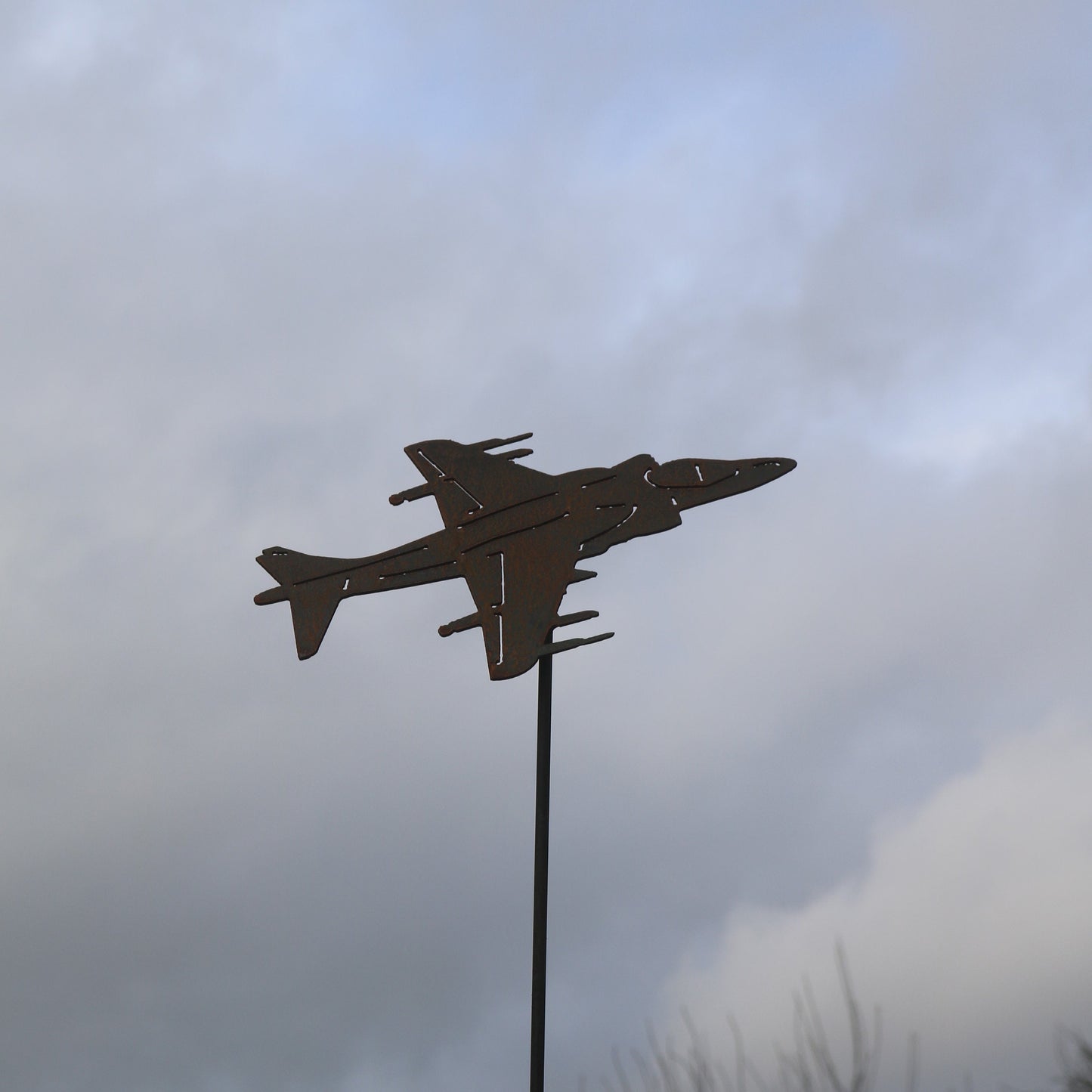 Harrier Aeroplane On Spike