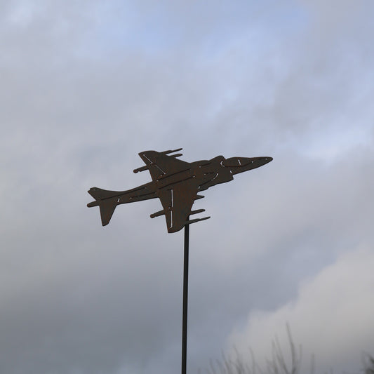 Harrier Aeroplane On Spike