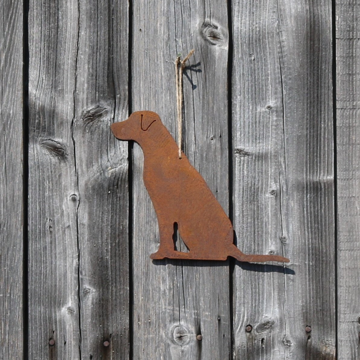 Hanging Labrador