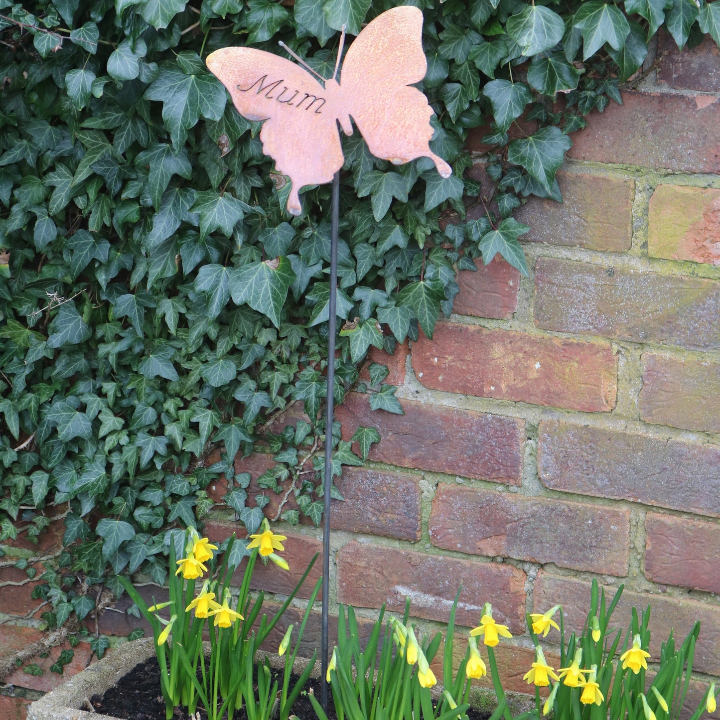 Mum Butterfly On Spike