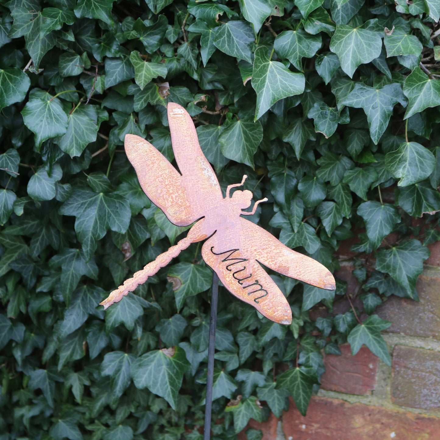 Mum Dragonfly On Spike