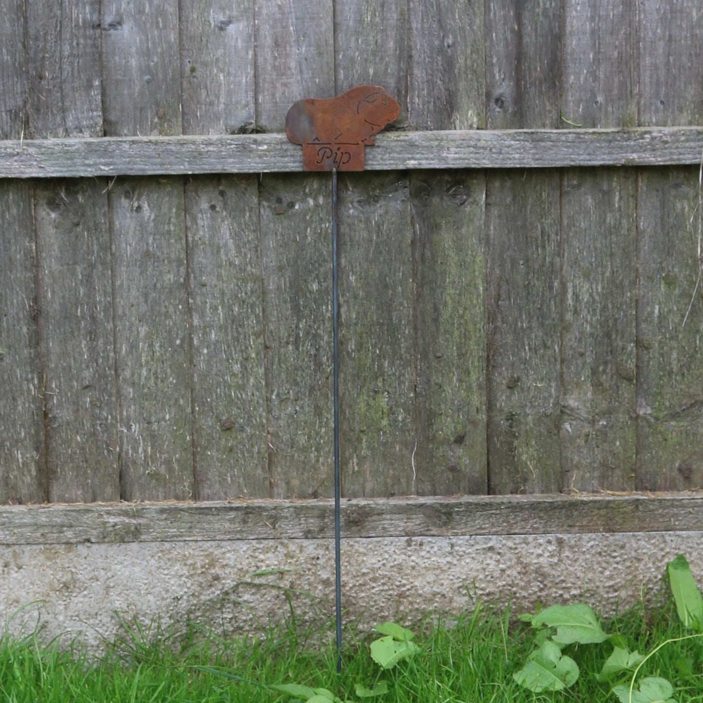 Personalised Guinea Pig On Spike