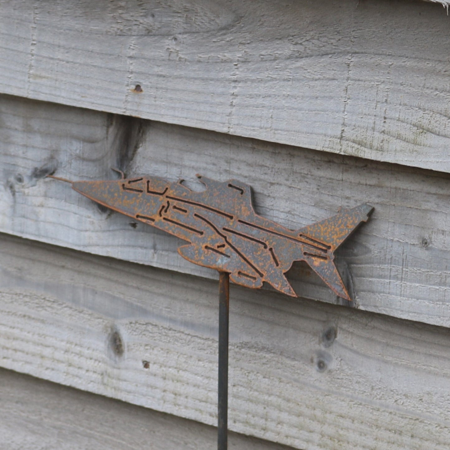 Jaguar Aeroplane On spike