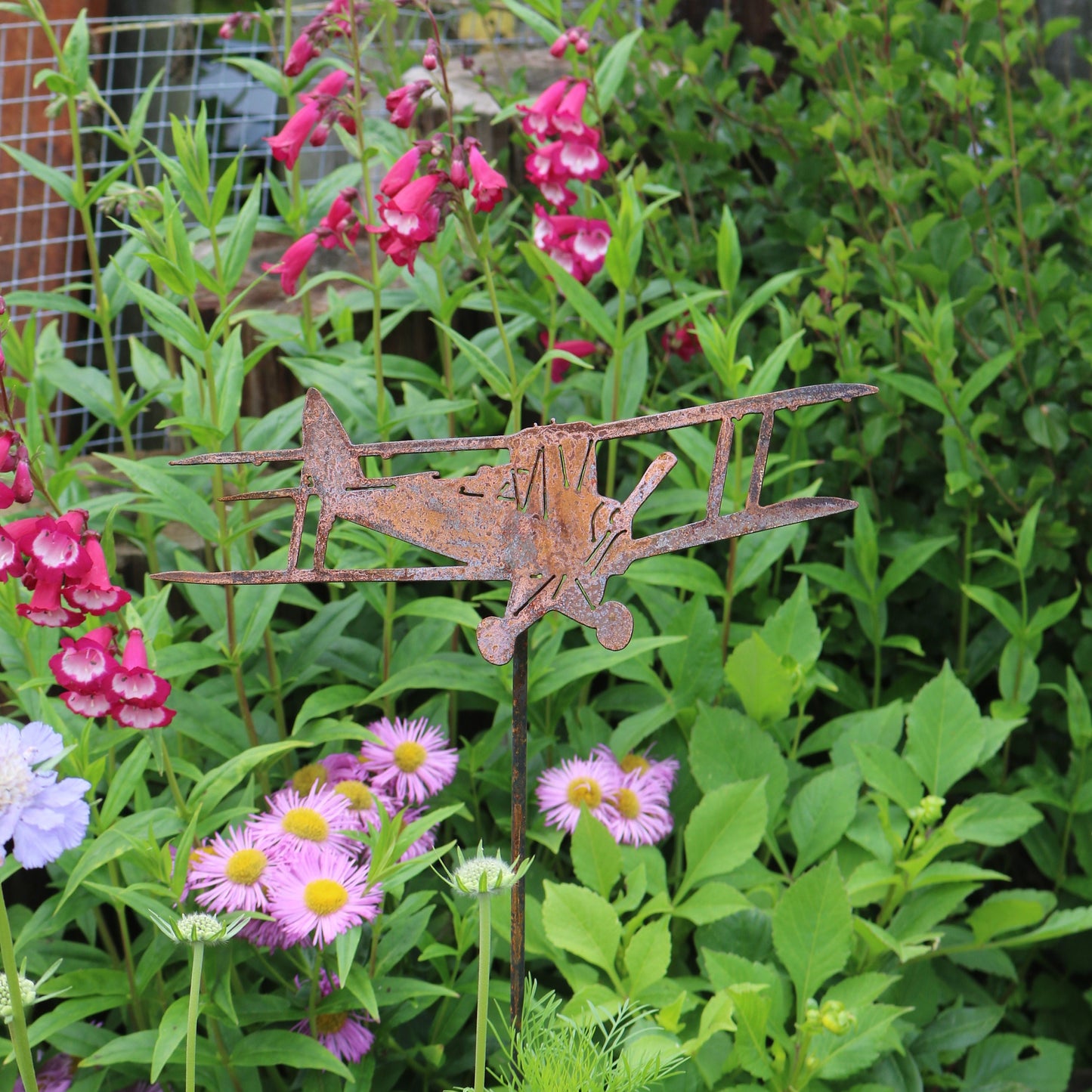 Tiger Moth Aeroplane On Spike