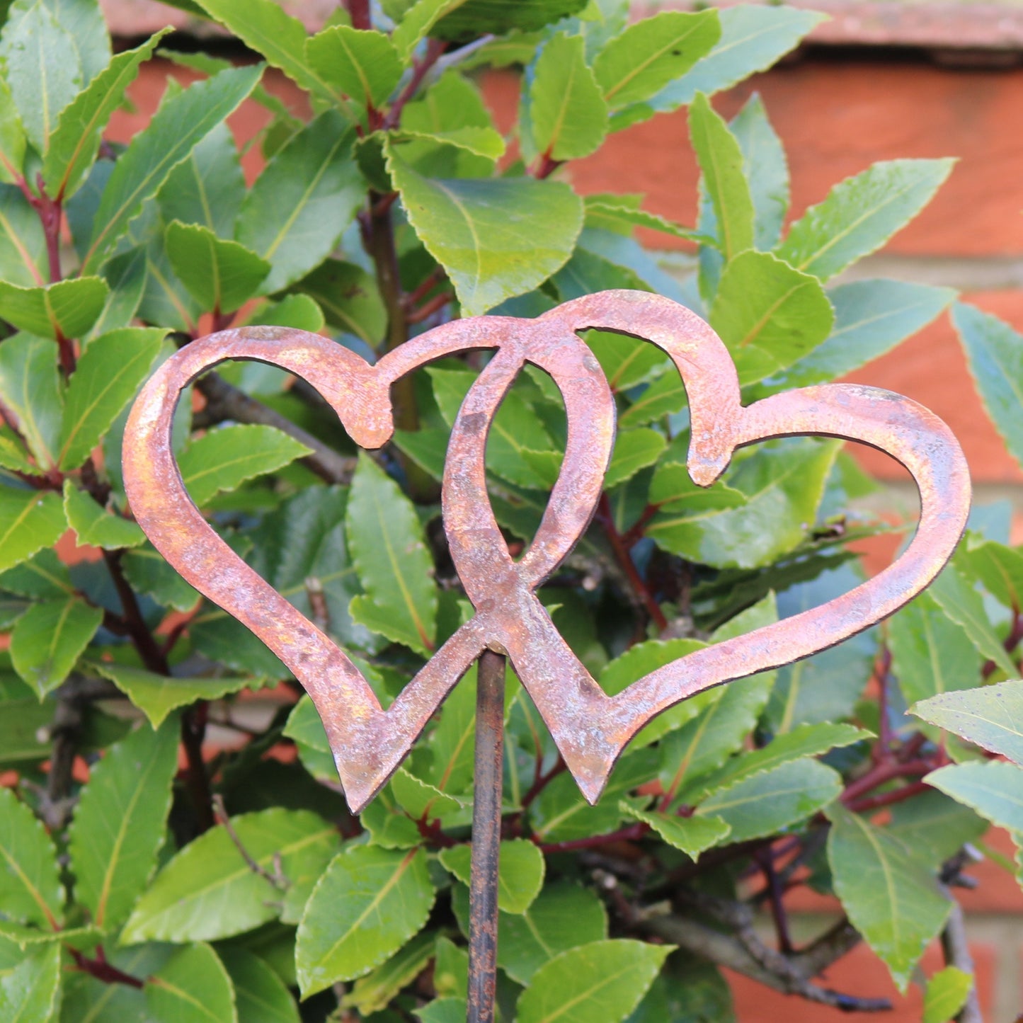 Entwined Hearts On Spike