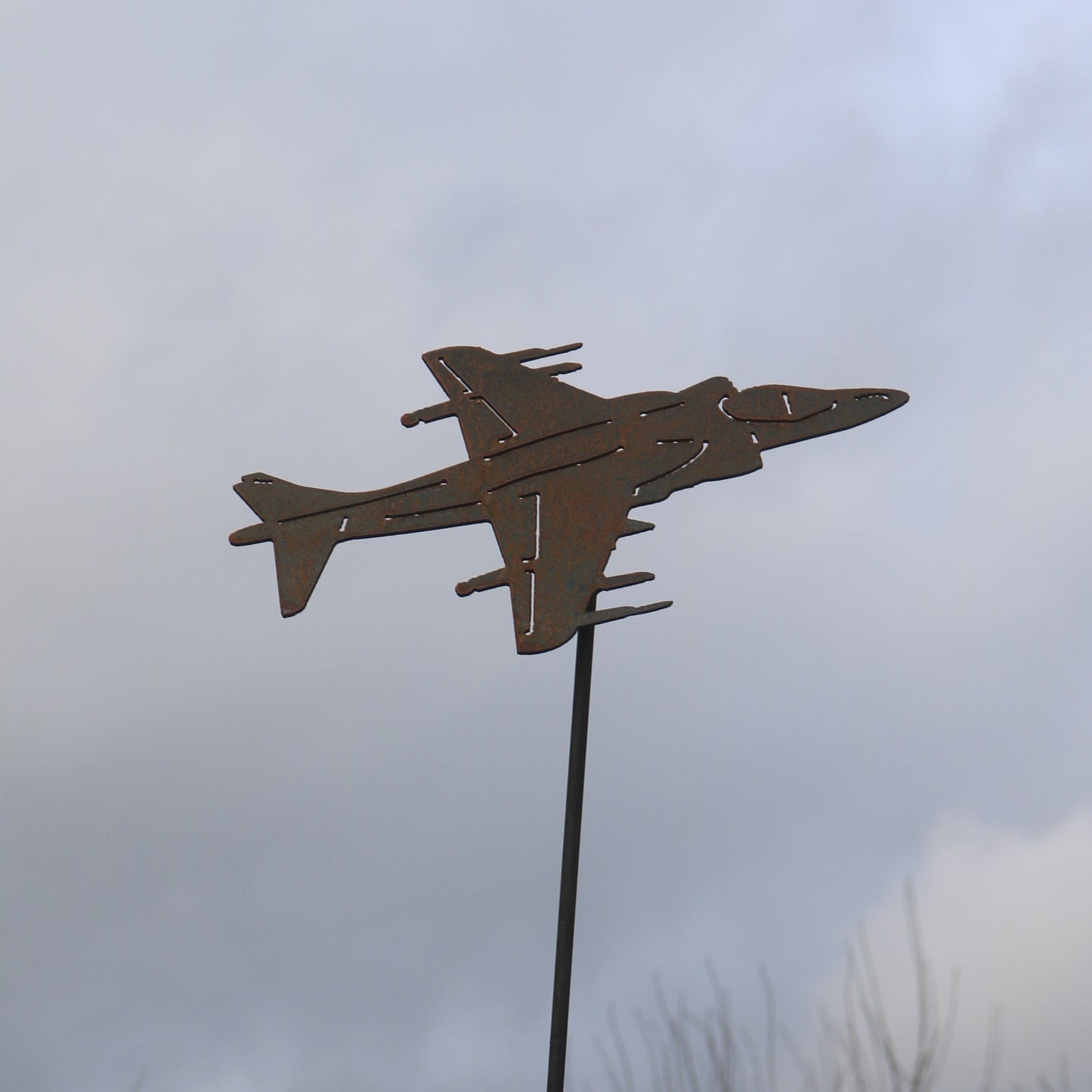 Harrier Aeroplane On Spike