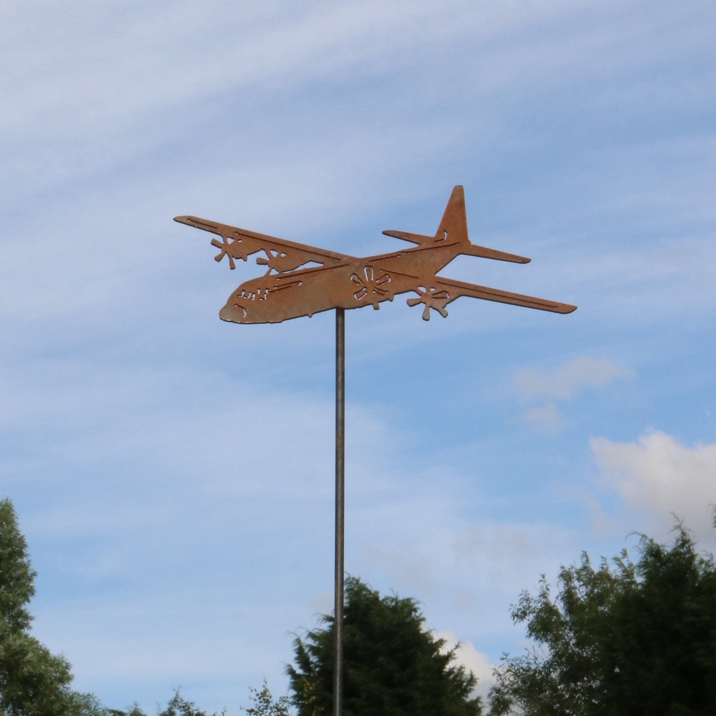 Lockheed C-130 Hercules Aeroplane On Spike