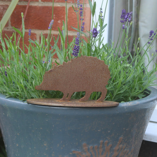 Baby Hedgehog Statue