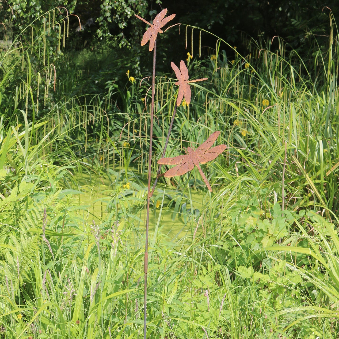 Dragonflies On Spike