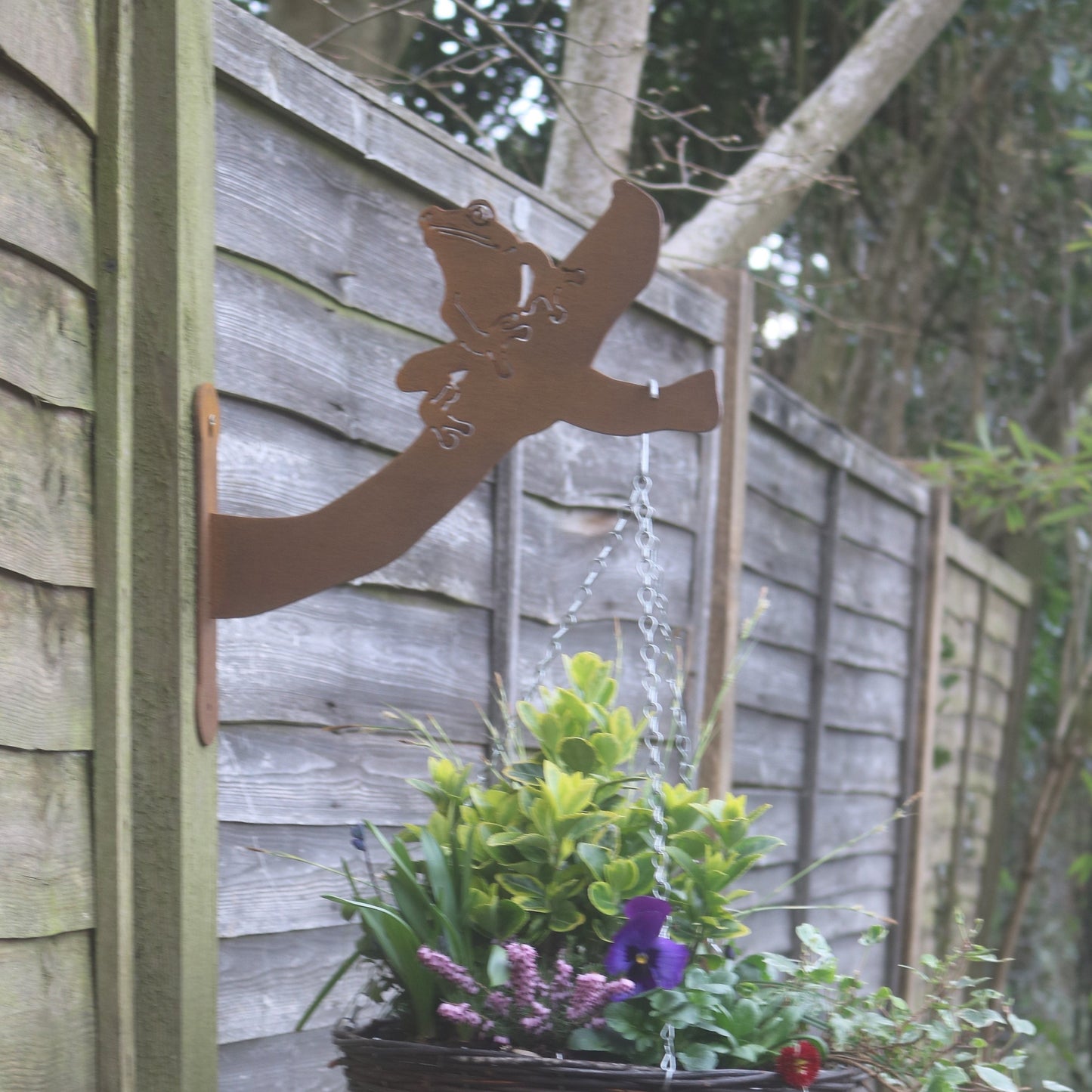 Tree Frog Wall Bracket