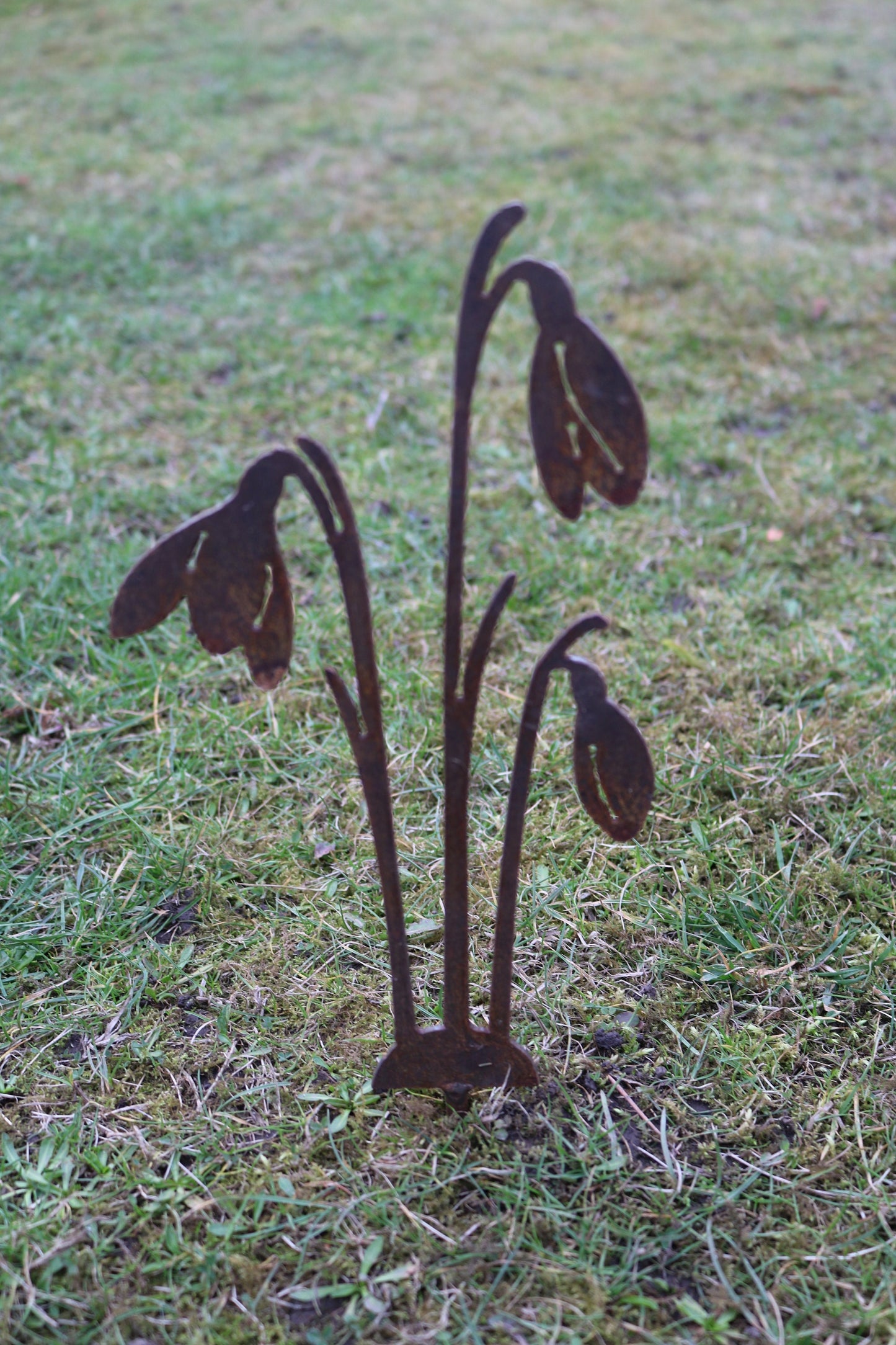 Snowdrops Plant Pot Decoration