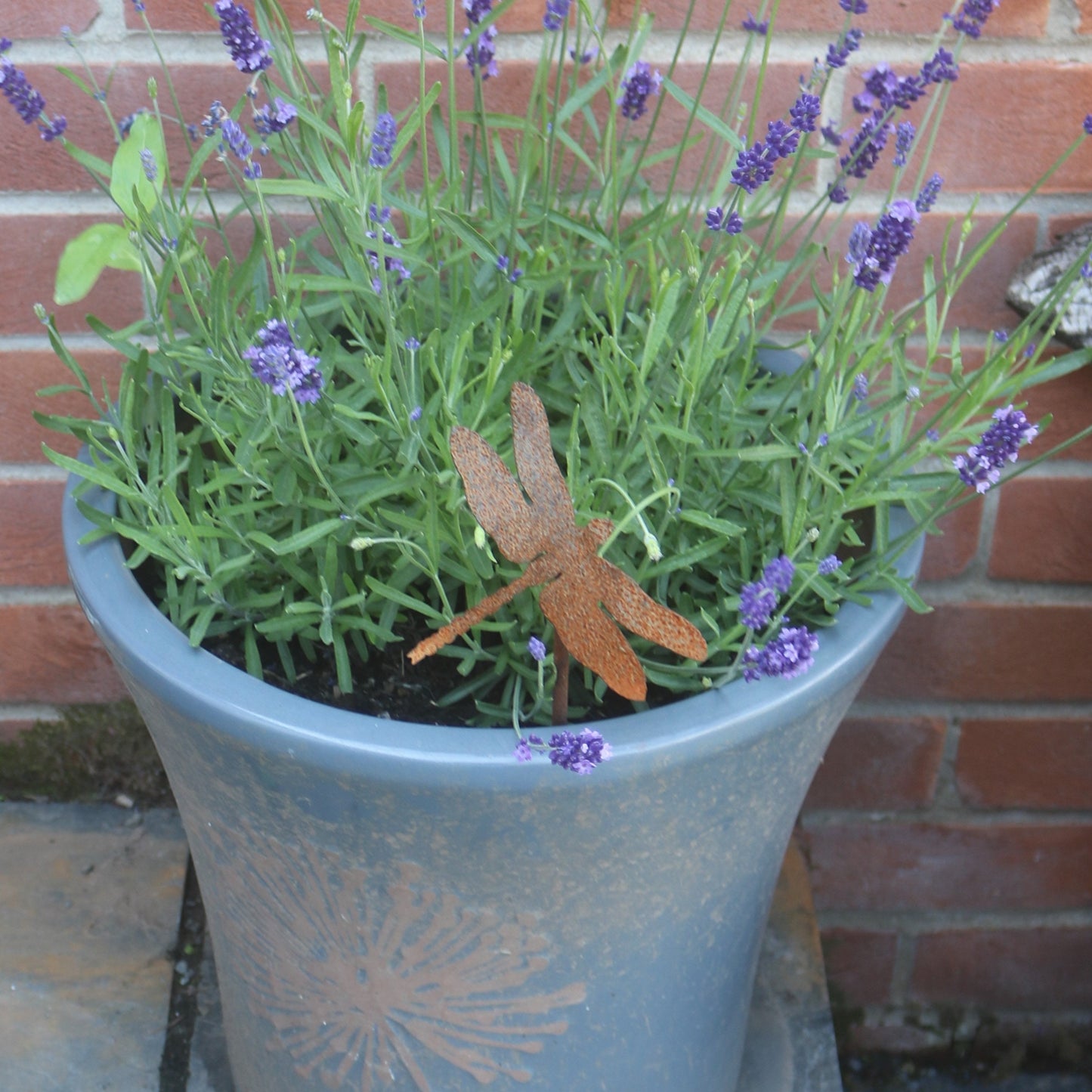 Dragonfly Plant Pot Decoration