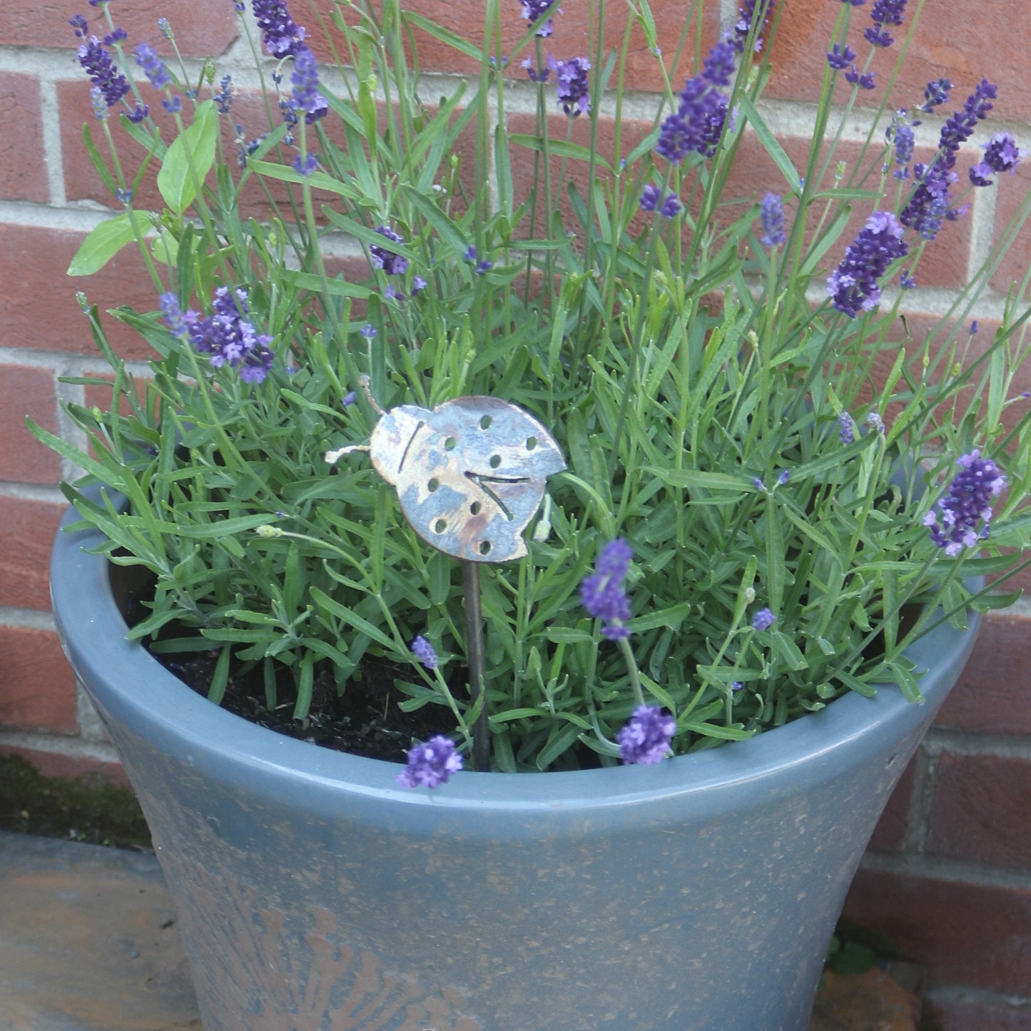 Ladybird Plant Pot Decoration