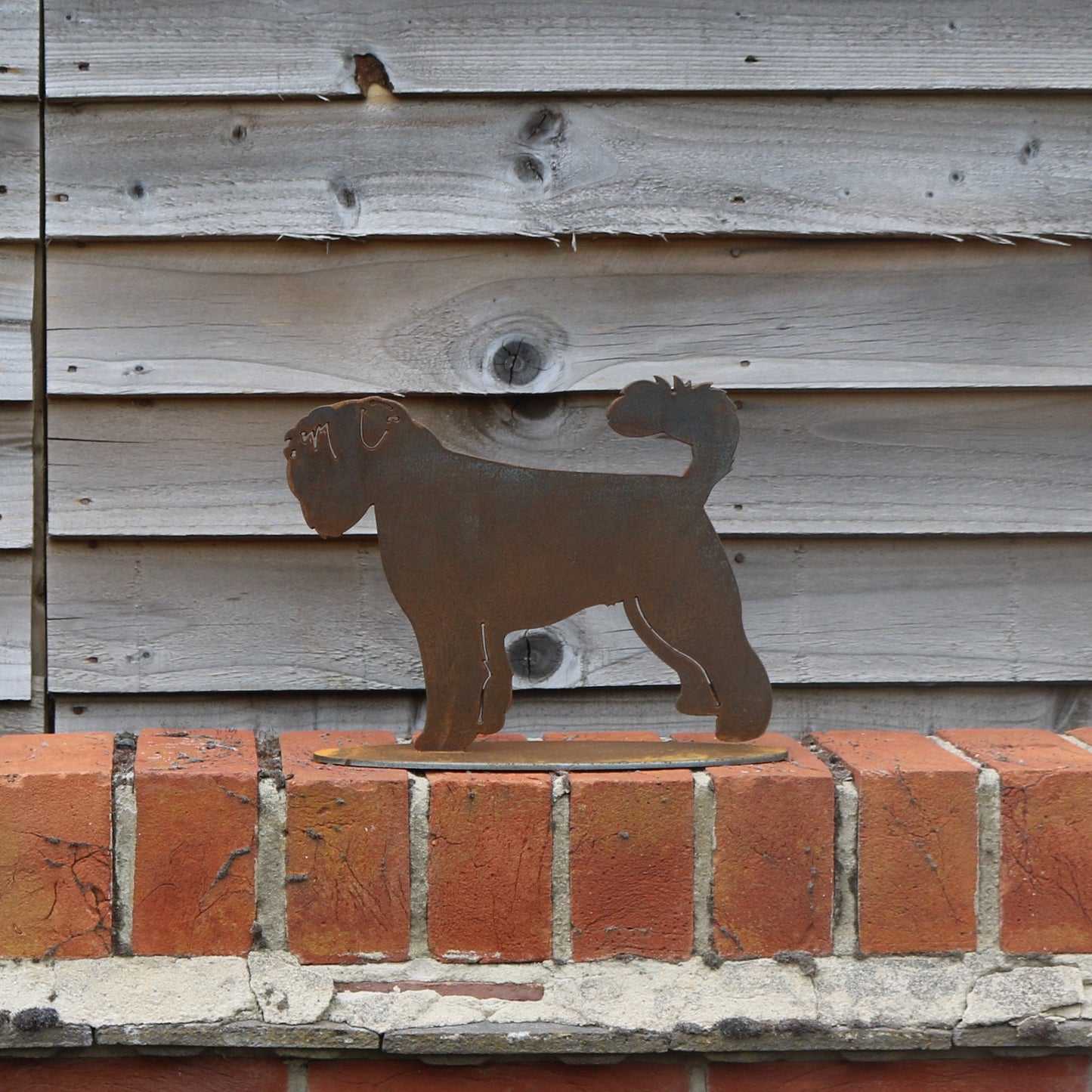 Bouvier Des Flandres Statue