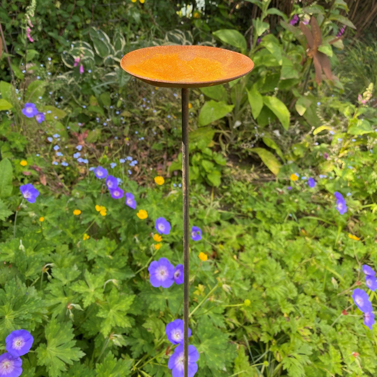 Rain Catcher On Spike