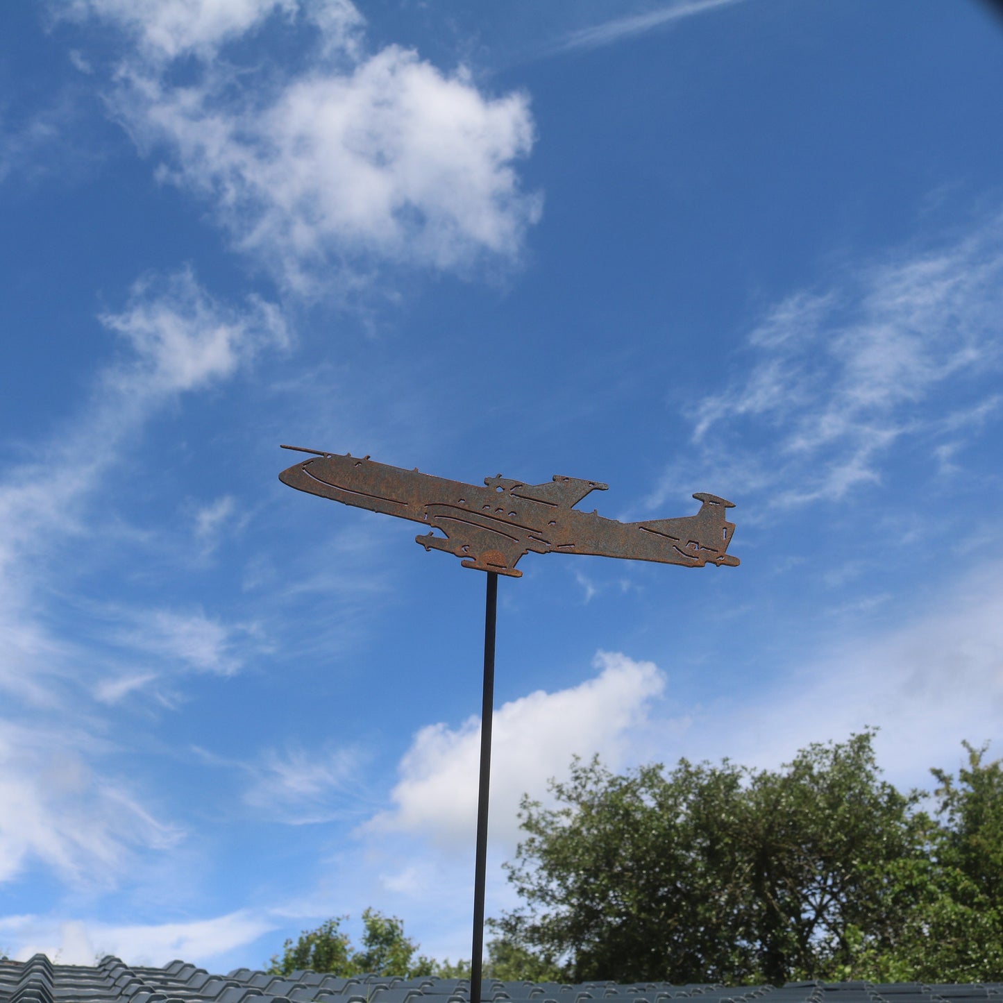 Nimrod R1 Aeroplane On Spike