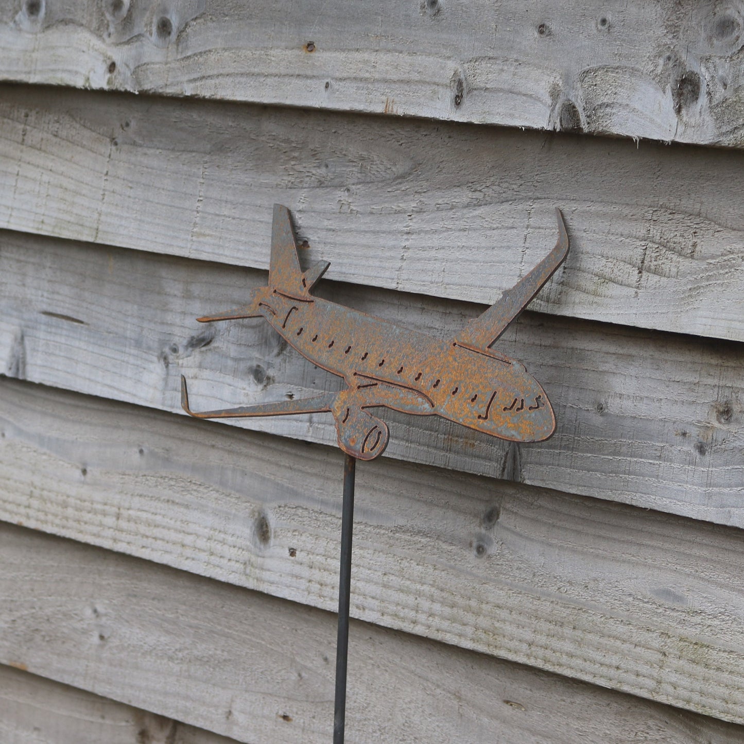 Airbus A320 Aeroplane On Spike