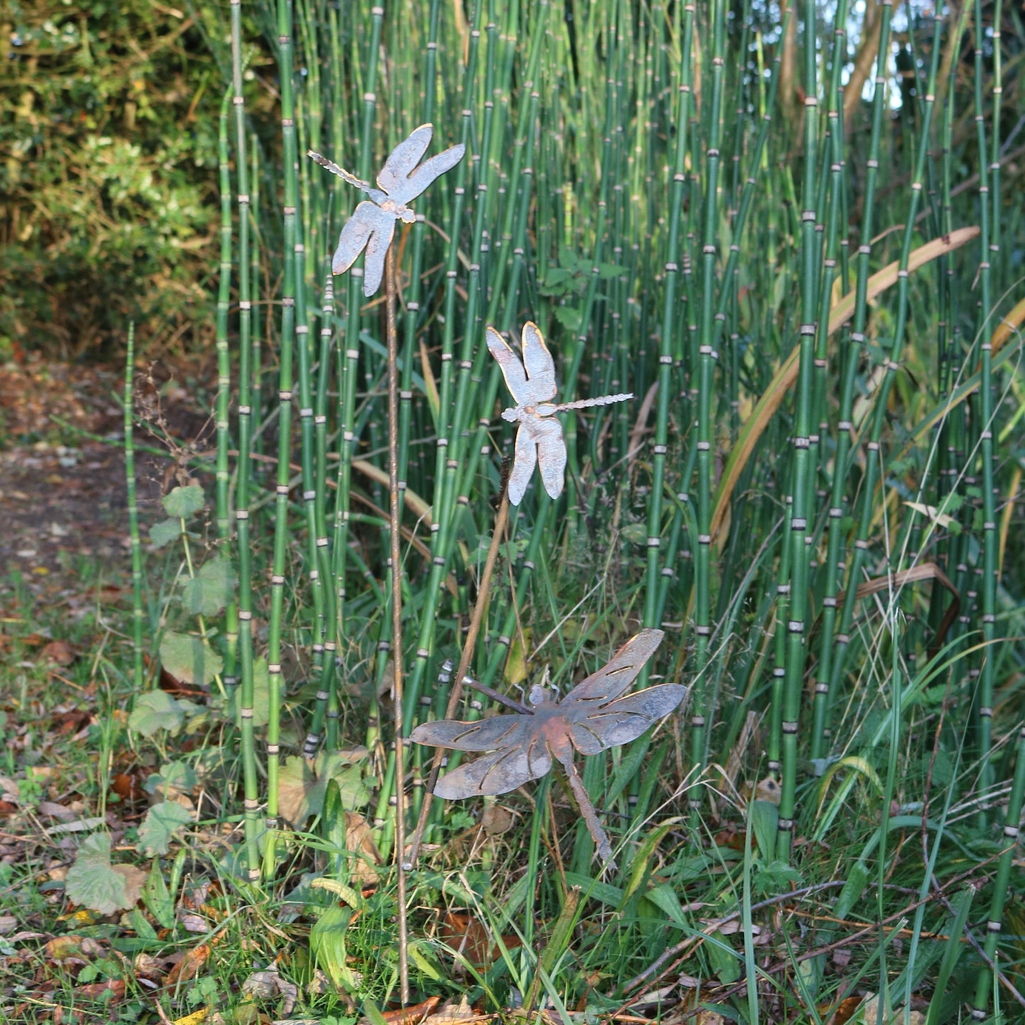 Dragonflies On Spike